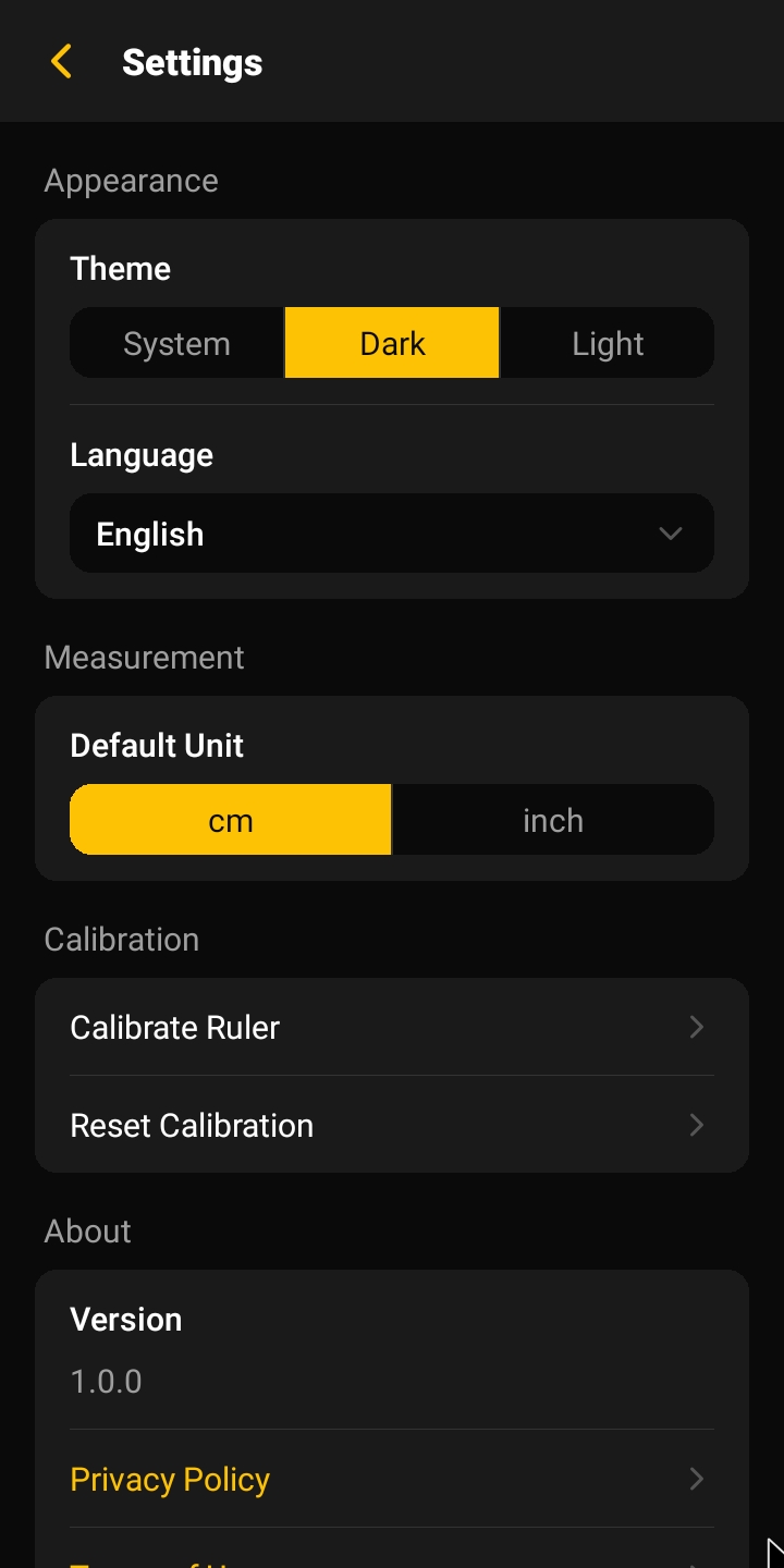 Rulr settings screen (dark)